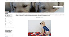 Desktop Screenshot of chienguide.be